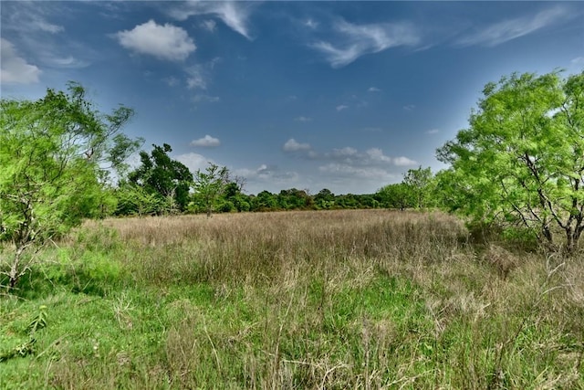 view of local wilderness