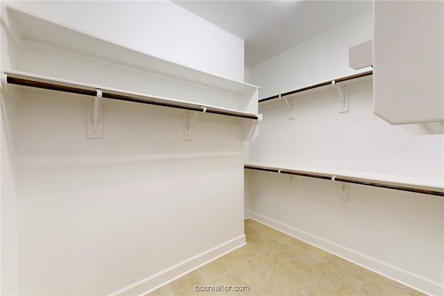 view of spacious closet