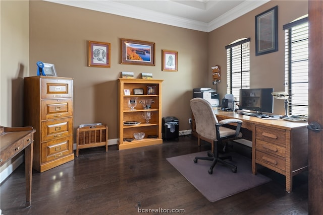 office with dark hardwood / wood-style floors and crown molding