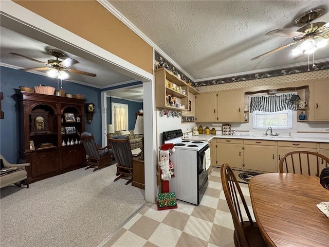 102 S Pine St, Calvert, TX 77837 - photo 20