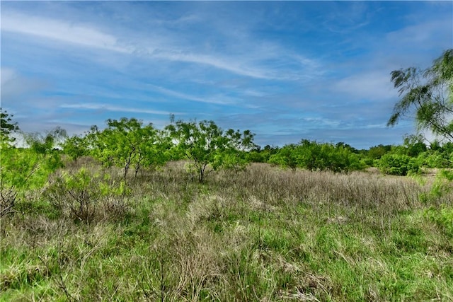 3364 County Road 328, Caldwell, TX 77836 - photo 7