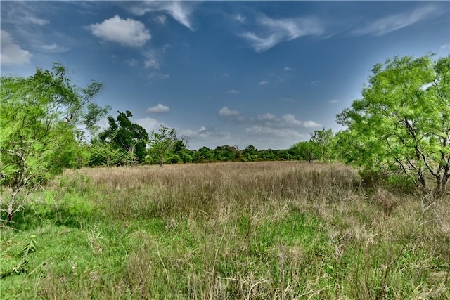 3364 County Road 328, Caldwell, TX 77836 - photo 8