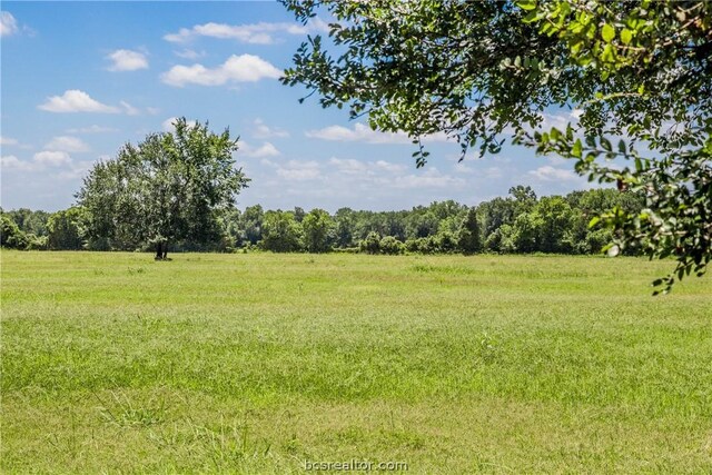 11752 County Road 318, Caldwell, TX 77836 - photo 4