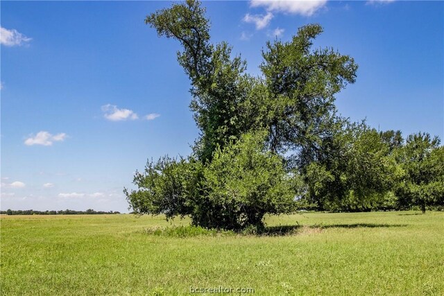 11752 County Road 318, Caldwell, TX 77836 - photo 18