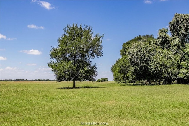 11752 County Road 318, Caldwell, TX 77836 - photo 13