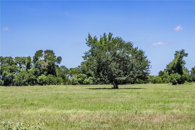 11752 County Road 318, Caldwell, TX 77836 - photo 15