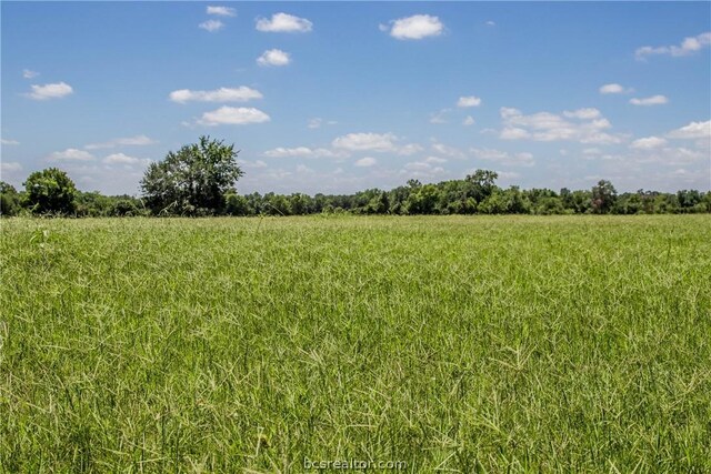 11752 County Road 318, Caldwell, TX 77836 - photo 24
