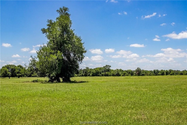 11752 County Road 318, Caldwell, TX 77836 - photo 22
