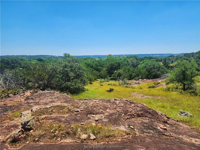 view of nature featuring a rural view