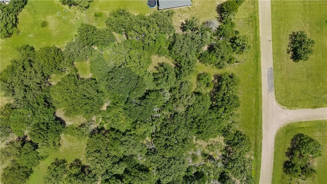 9635 Belgrave Sq, Iola, TX 77861