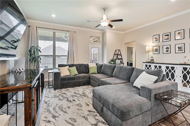 living room featuring wood-type flooring, ceiling fan, and ornamental molding