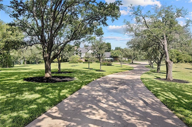 surrounding community featuring a yard