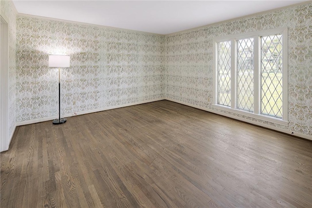 empty room with hardwood / wood-style floors