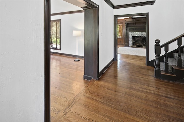 corridor featuring crown molding and dark wood-type flooring