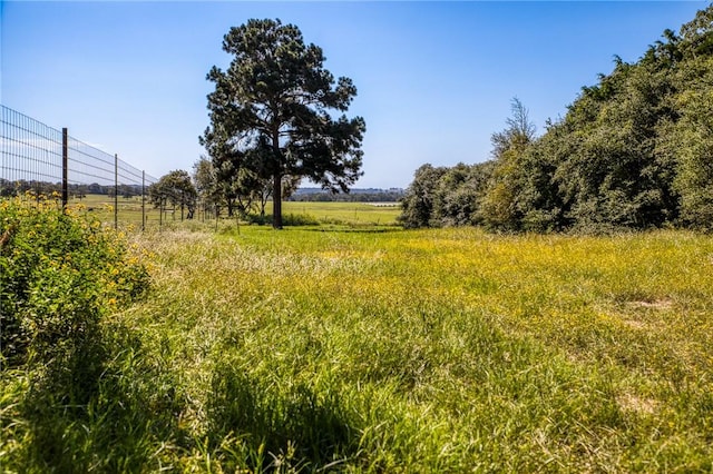 view of nature with a rural view