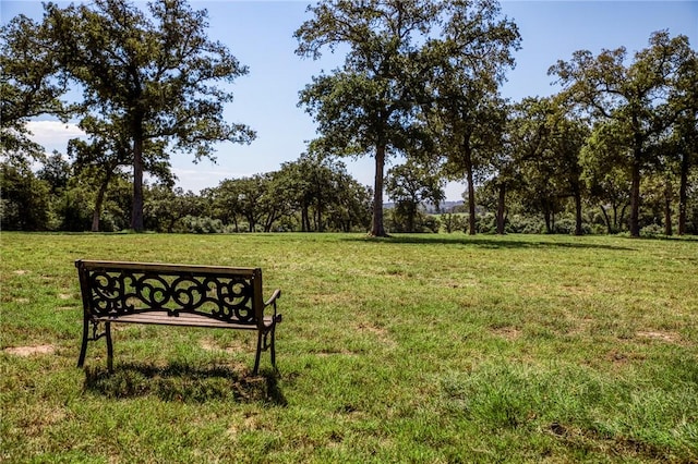 view of property's community with a yard