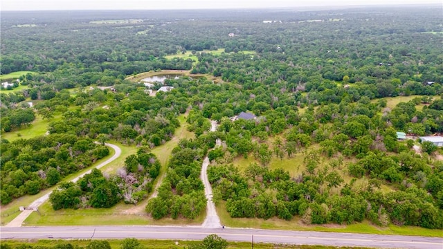 16717 Windy Ryon Rd, College Station, TX 77845 - photo 39