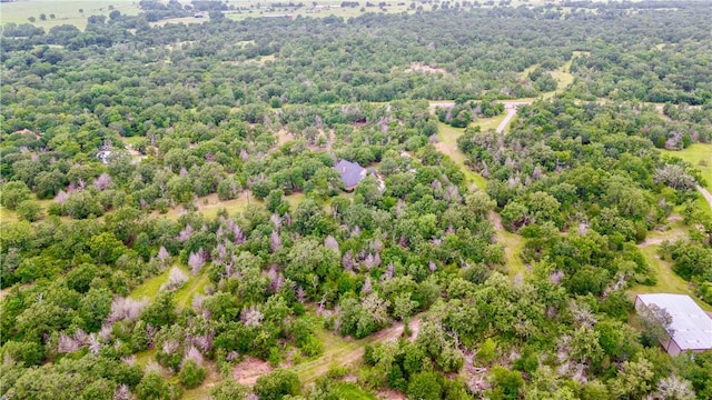 16717 Windy Ryon Rd, College Station, TX 77845 - photo 40