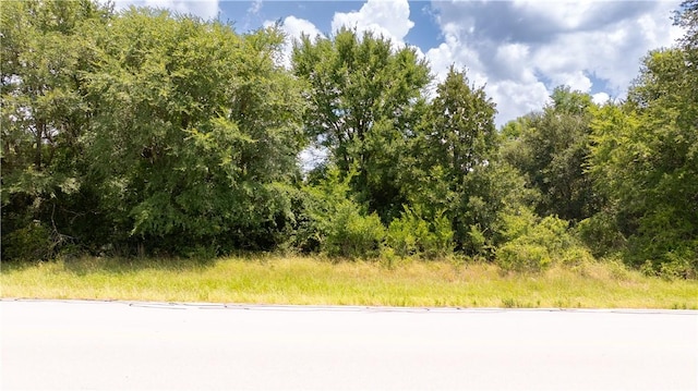 1620 Sebesta Rd, College Station, TX 77845 - photo 3