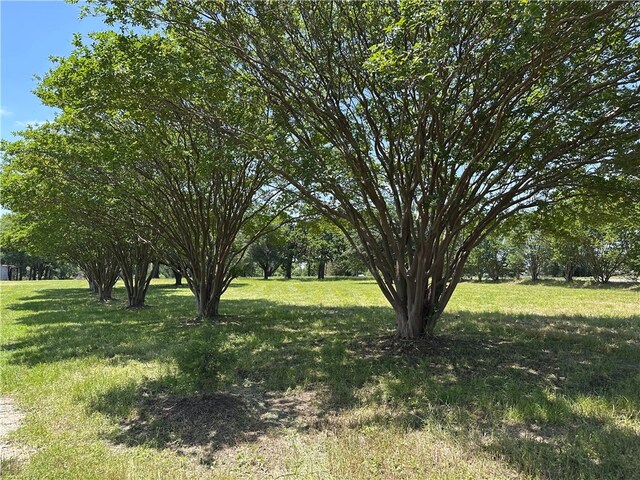 12110 Fm 2293, Bremond, TX 76629