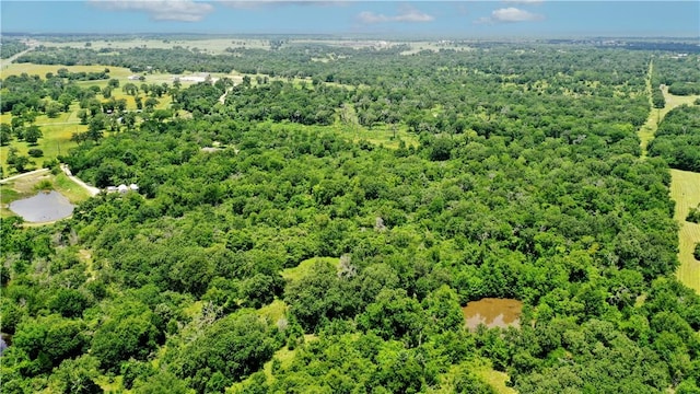 TBD Fm 2154, Navasota, TX 77868 - photo 2