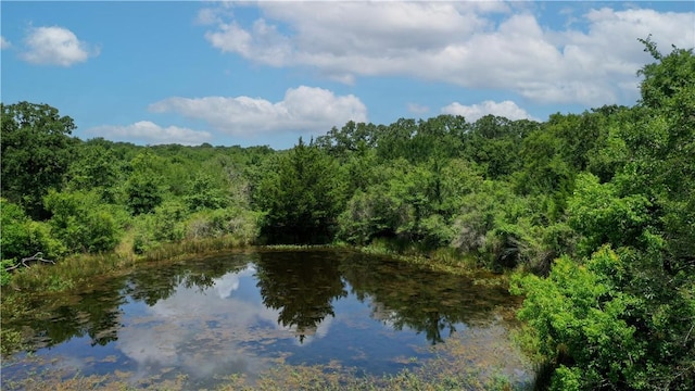 TBD Fm 2154, Navasota, TX 77868 - photo 31