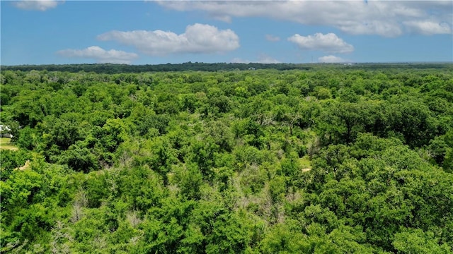 TBD Fm 2154, Navasota, TX 77868 - photo 11
