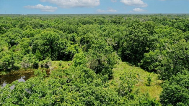 TBD Fm 2154, Navasota, TX 77868 - photo 21