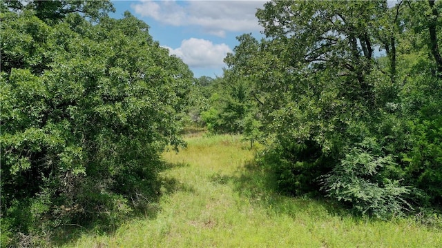 TBD Fm 2154, Navasota, TX 77868 - photo 6