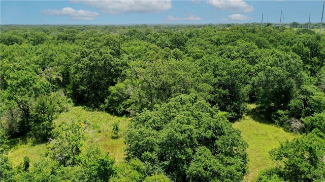 TBD Fm 2154, Navasota, TX 77868 - photo 30