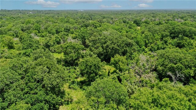 TBD Fm 2154, Navasota, TX 77868 - photo 14