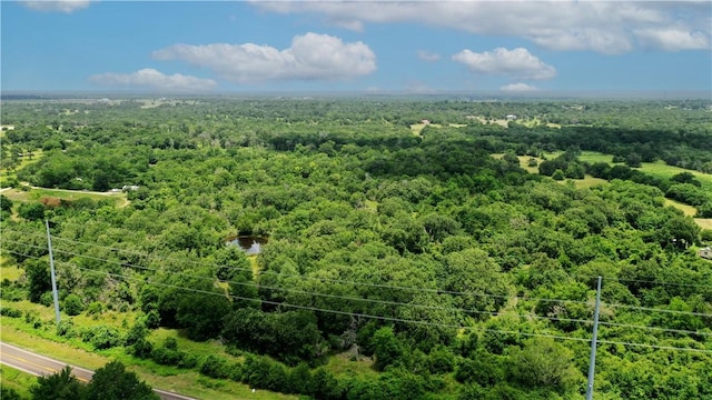 TBD Fm 2154, Navasota, TX 77868 - photo 28
