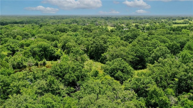 TBD Fm 2154, Navasota, TX 77868 - photo 17