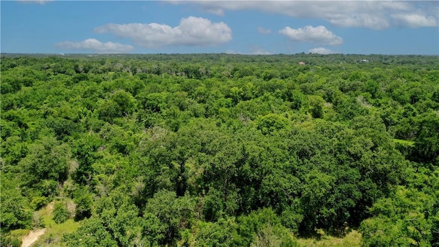 TBD Fm 2154, Navasota, TX 77868 - photo 18