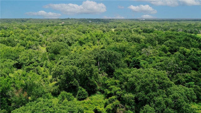 TBD Fm 2154, Navasota, TX 77868 - photo 9