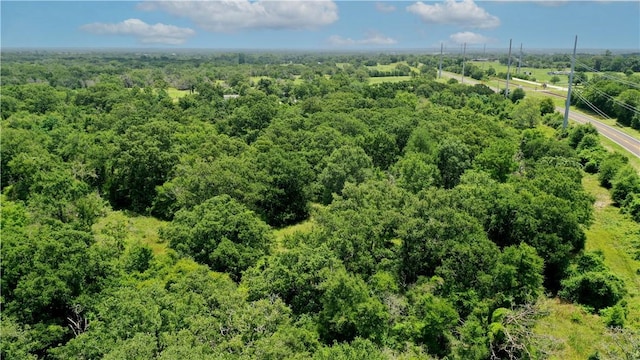 TBD Fm 2154, Navasota, TX 77868 - photo 19