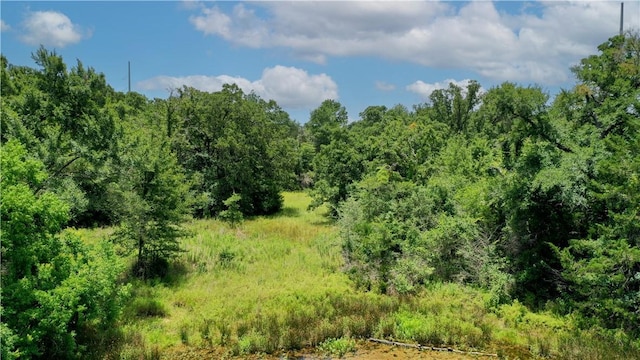 TBD Fm 2154, Navasota, TX 77868 - photo 13