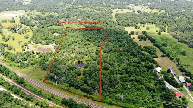 TBD Fm 2154, Navasota, TX 77868 - photo 5