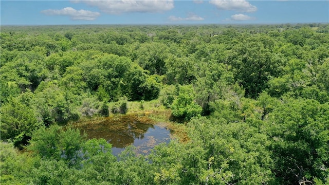 TBD Fm 2154, Navasota, TX 77868 - photo 1