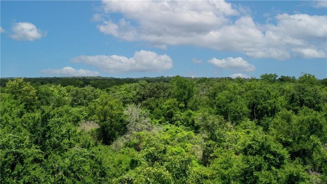 TBD Fm 2154, Navasota, TX 77868 - photo 8