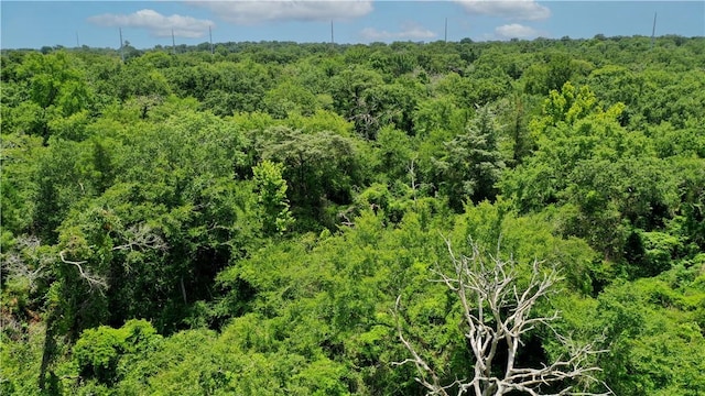 TBD Fm 2154, Navasota, TX 77868 - photo 23
