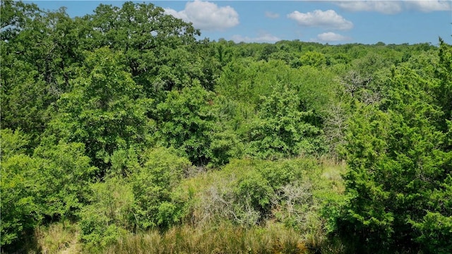 TBD Fm 2154, Navasota, TX 77868 - photo 29