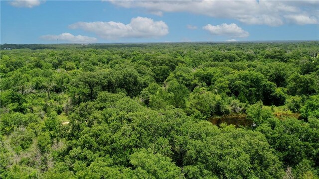 TBD Fm 2154, Navasota, TX 77868 - photo 25