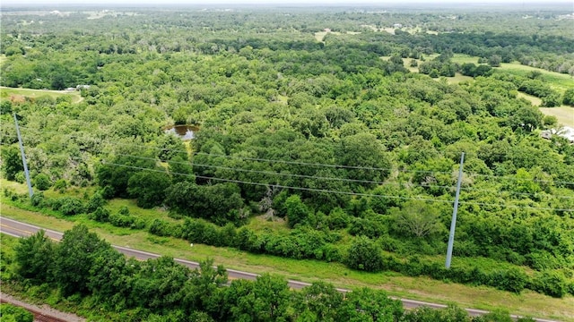 TBD Fm 2154, Navasota, TX 77868 - photo 27