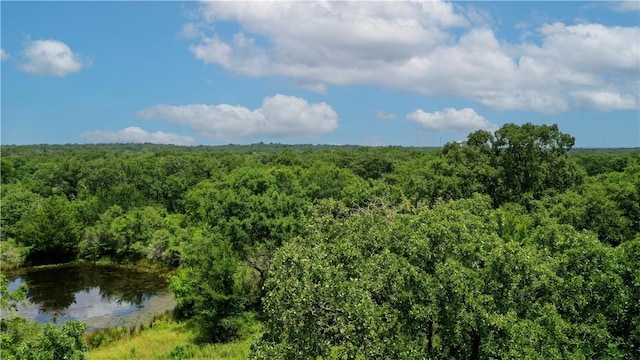 TBD Fm 2154, Navasota, TX 77868 - photo 4
