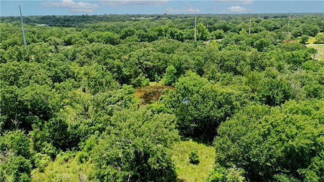 TBD Fm 2154, Navasota, TX 77868 - photo 12