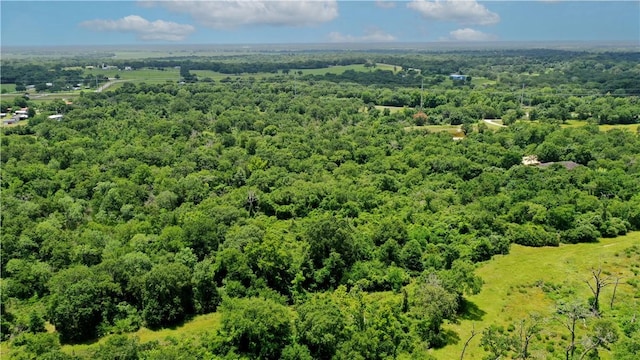 TBD Fm 2154, Navasota, TX 77868 - photo 24