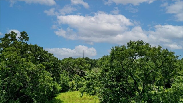 TBD Fm 2154, Navasota, TX 77868 - photo 22