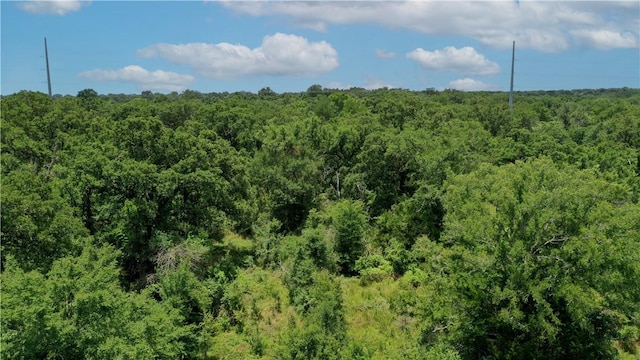 TBD Fm 2154, Navasota, TX 77868 - photo 32