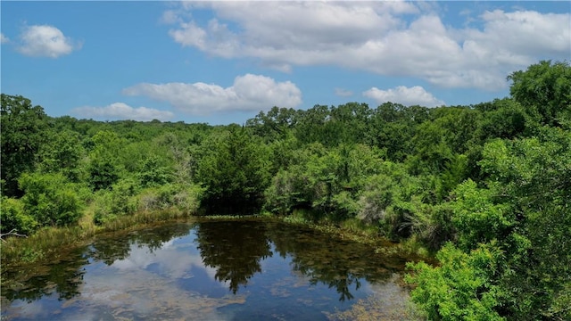 TBD Fm 2154, Navasota, TX 77868 - photo 33